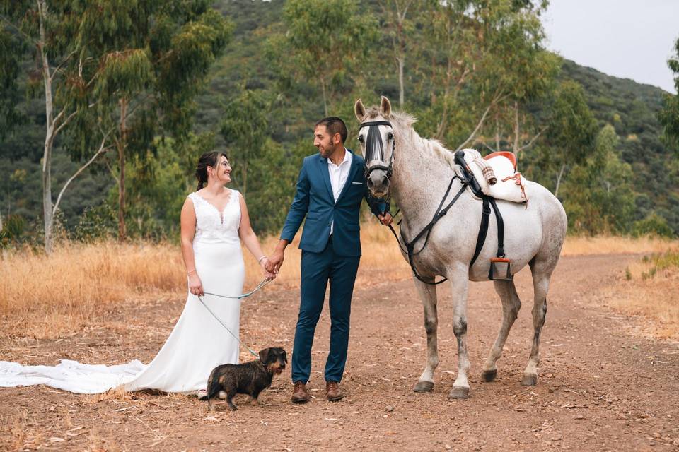 Postboda con caballos