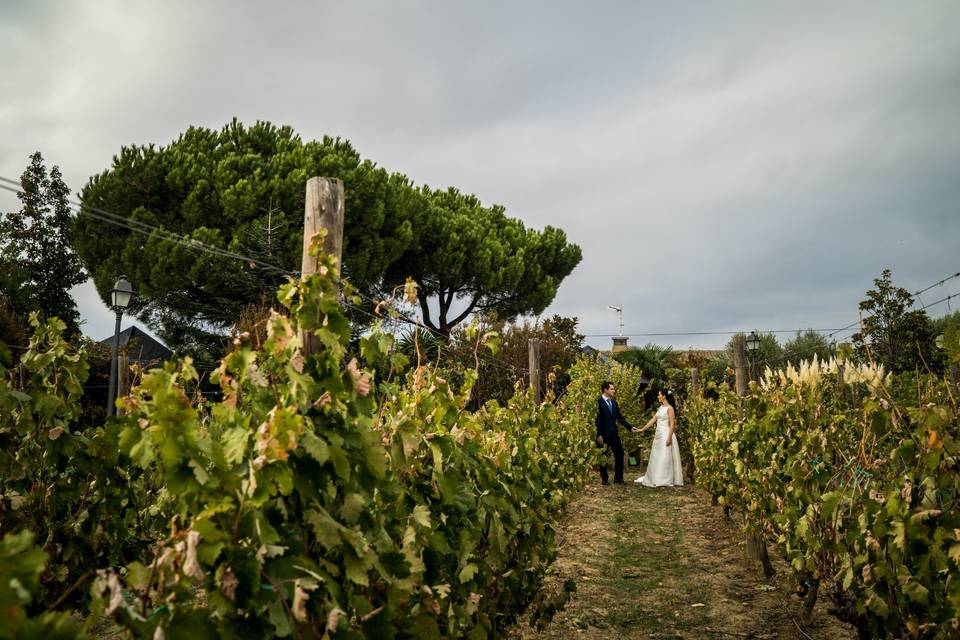 Fotógrafos de bodas en Madrid