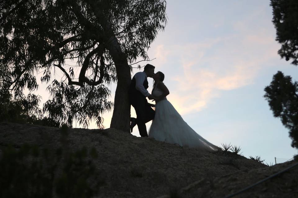 Postboda