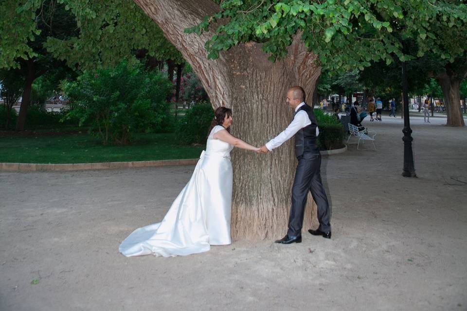 El árbol de la vida