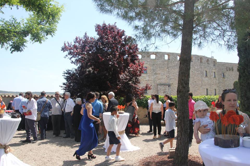 Castell de Fonolleres