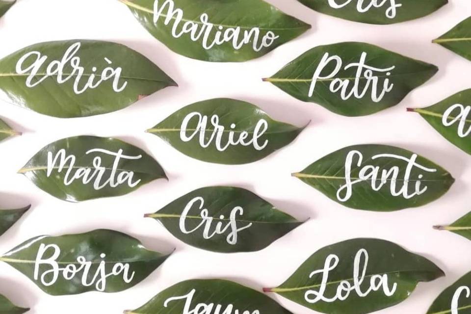 Marcasitios de hojas lettering