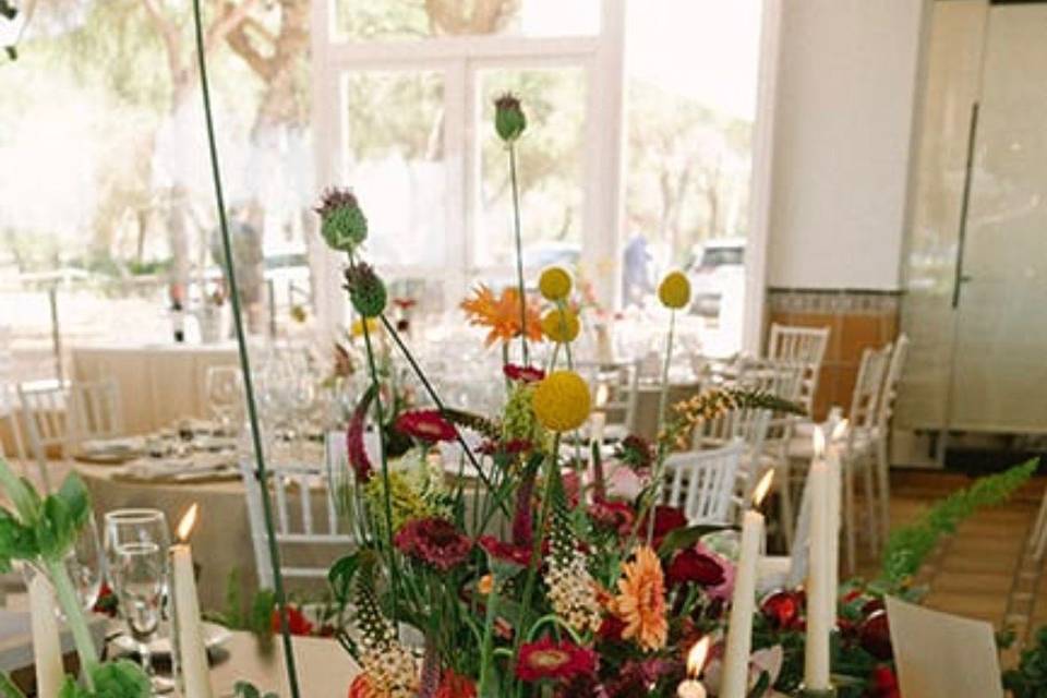 Boda