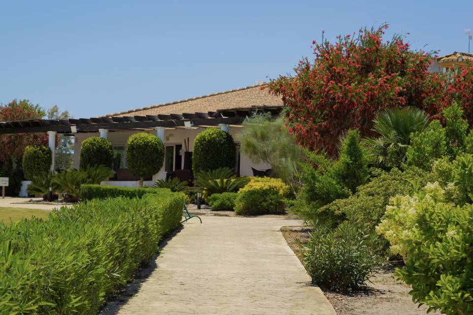 Tee 19