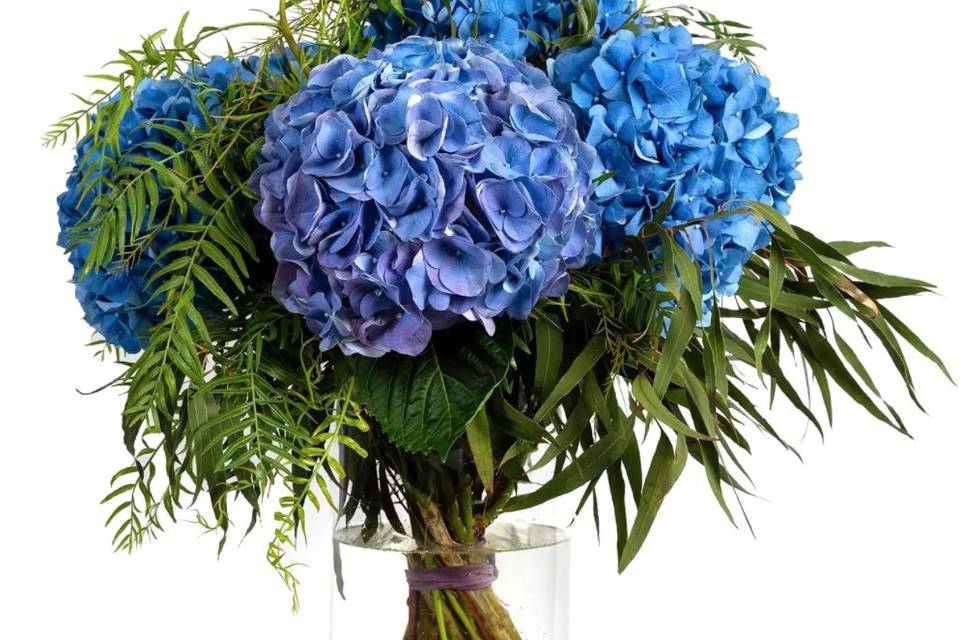 Ramo de hortensias azules