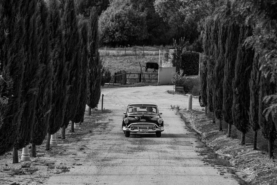 Entrada finca