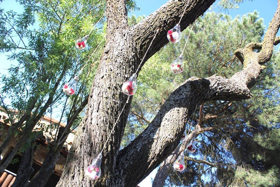 Árbol de luz