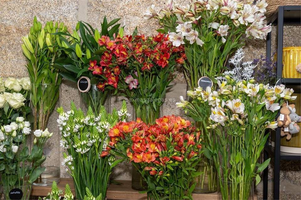 Flores variadas