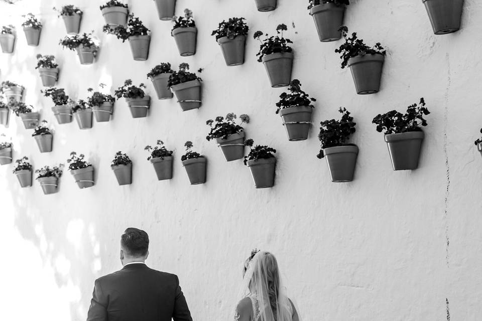 Boda A&R