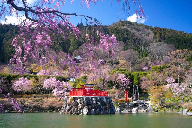 Japón