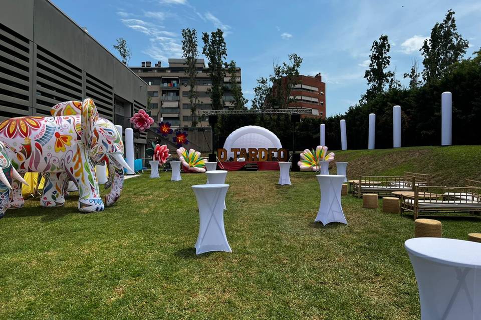 Decoración fiesta