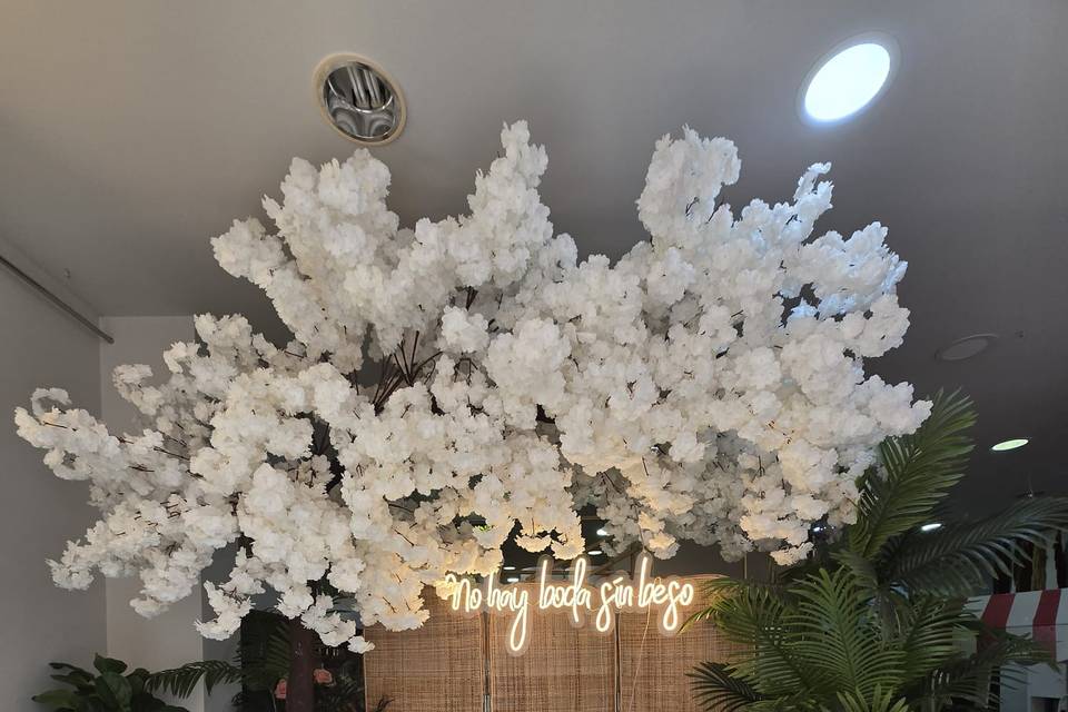Ana Mari Floristas