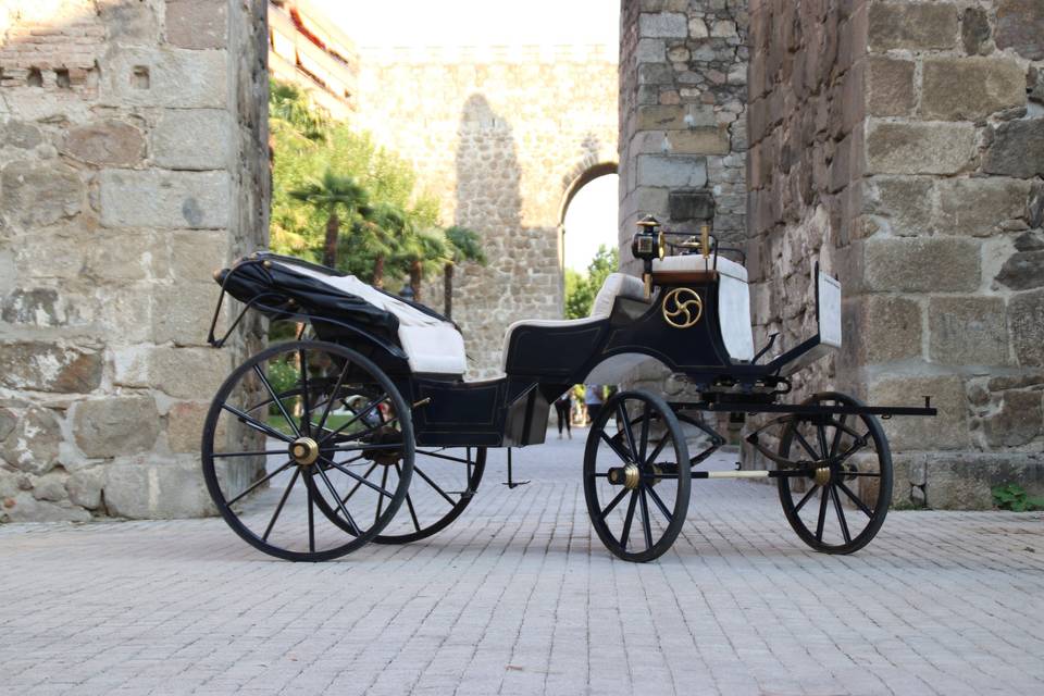 Coche de caballos sociable