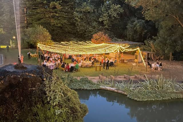 Palma Eventos