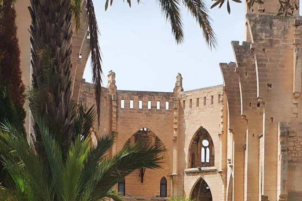 Palma Eventos