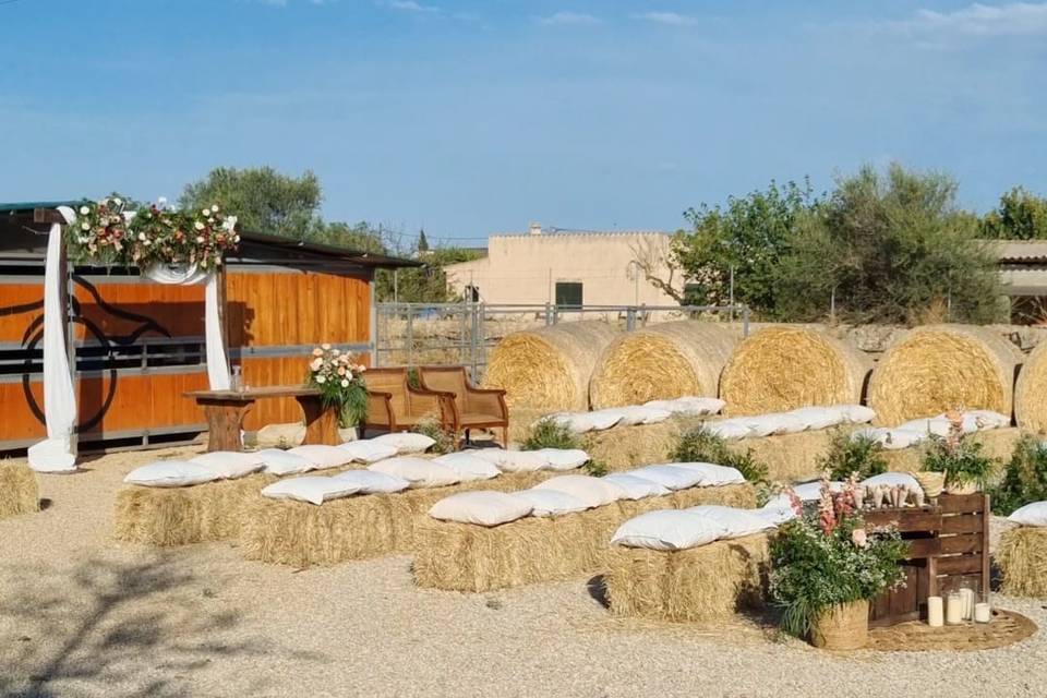 Palma Eventos