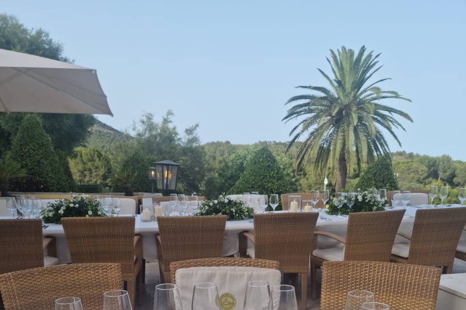 Palma Eventos