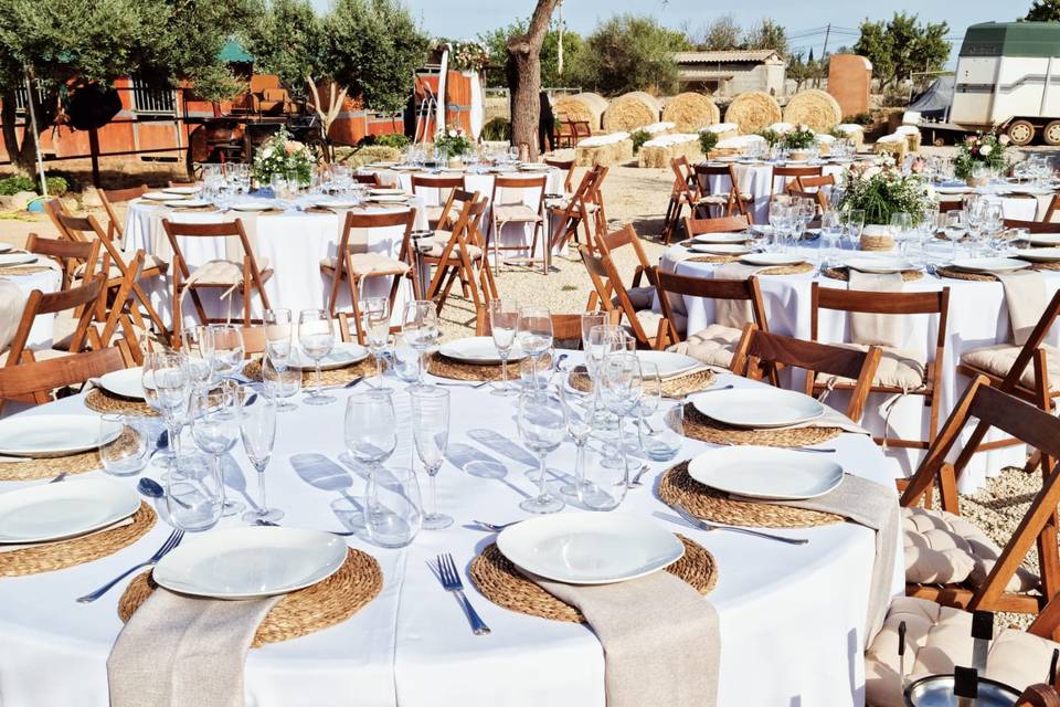 Palma Eventos