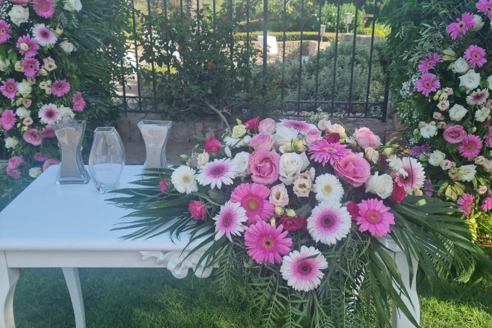 Palma Eventos