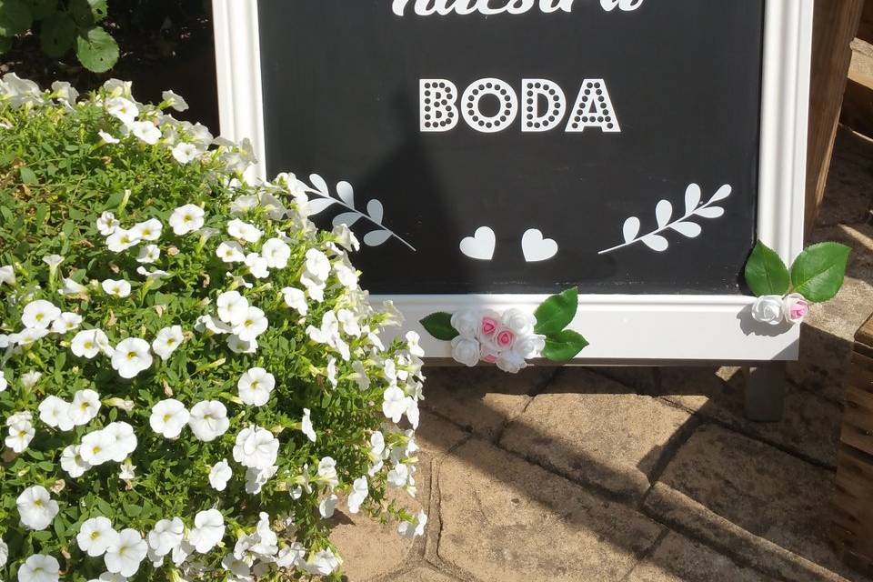 Palma Eventos