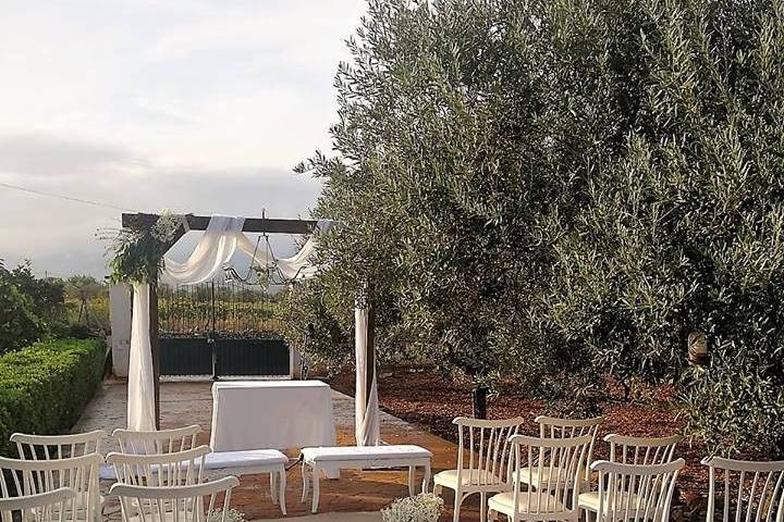Palma Eventos