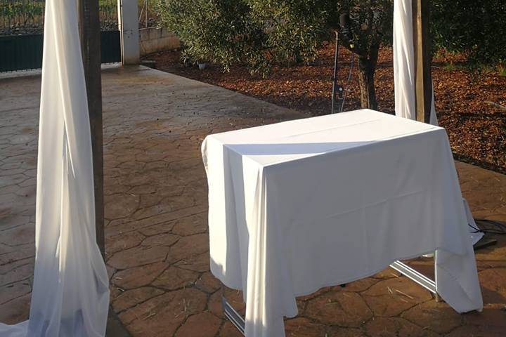 Palma Eventos