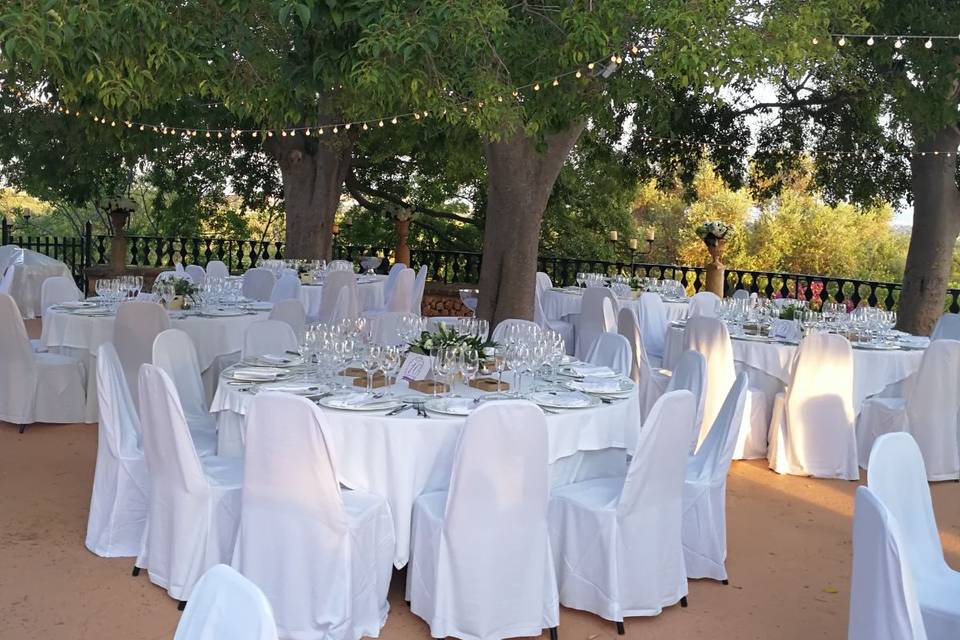 Palma Eventos
