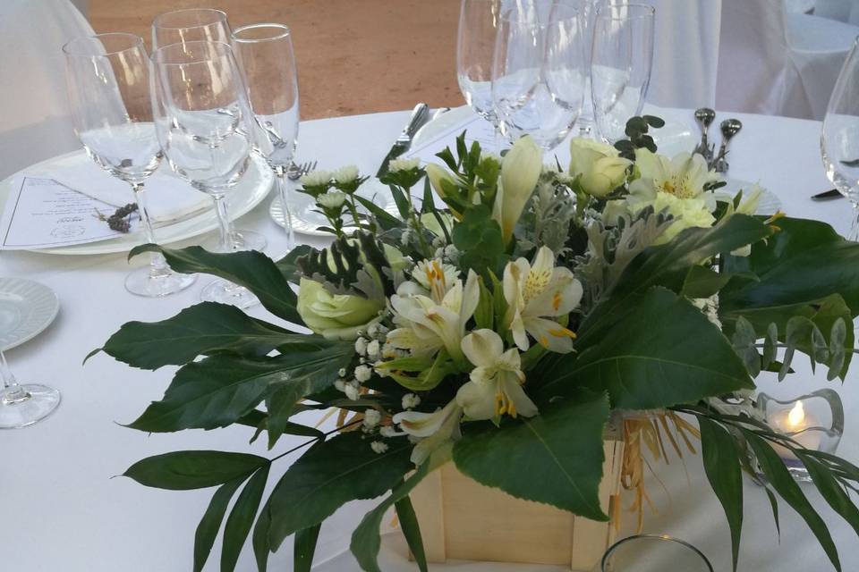 Palma Eventos