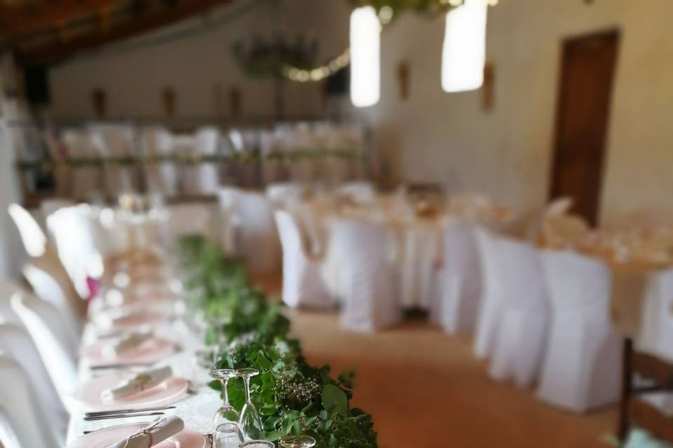 Palma Eventos