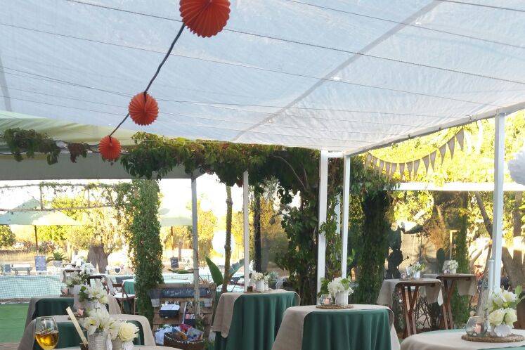 Palma Eventos