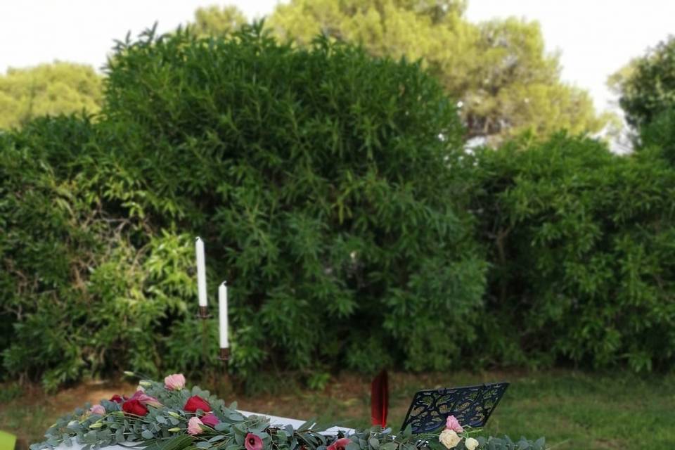 Palma Eventos