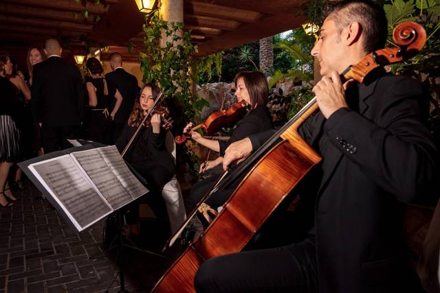 Instrumentos de cuerda