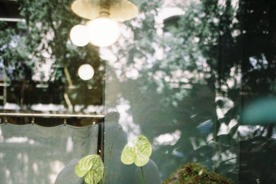 Yofia Flowers