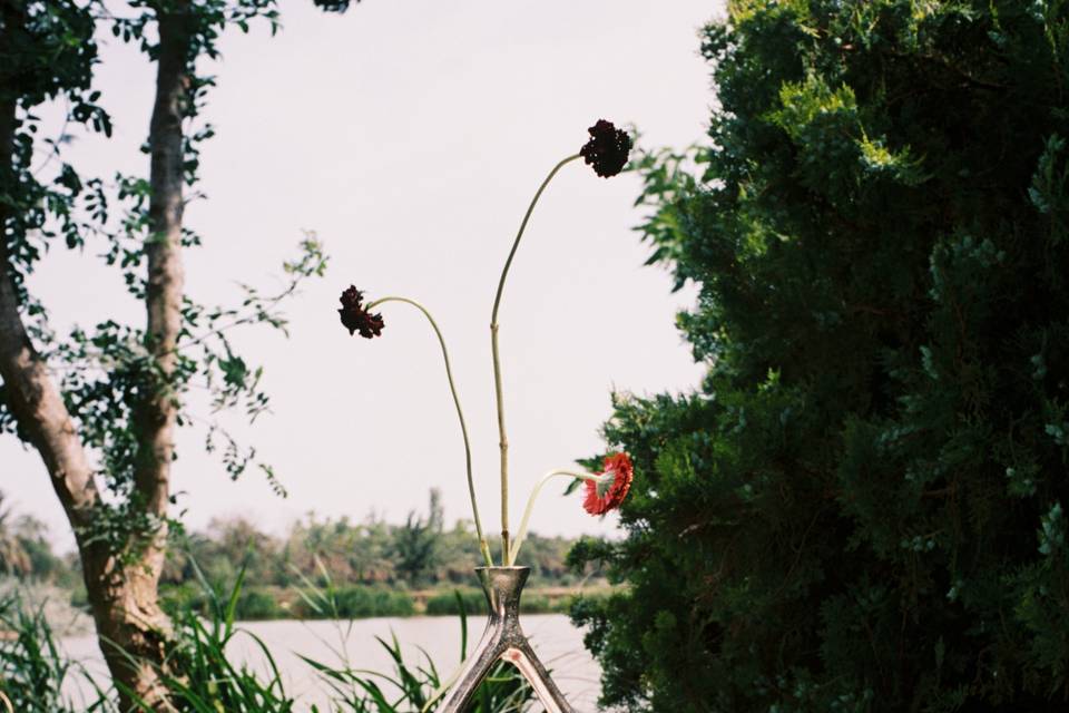 Yofia Flowers
