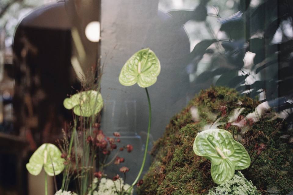Yofia Flowers