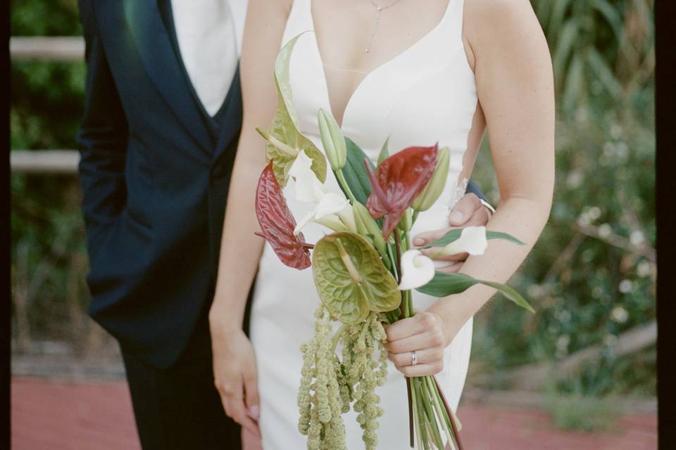 Lise and david