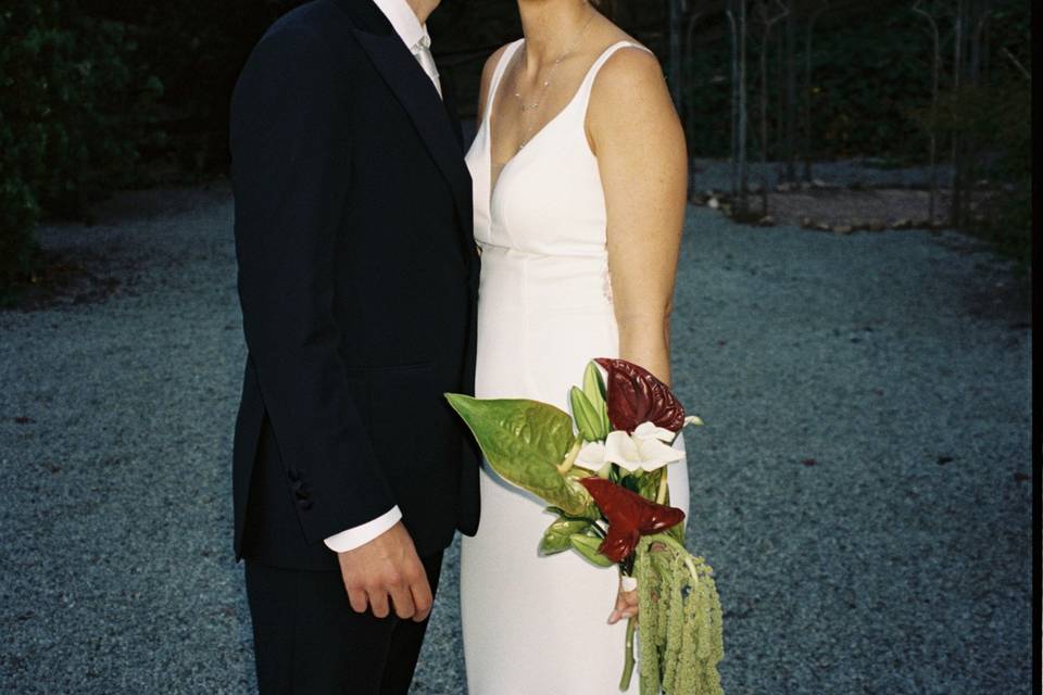 Lise and david