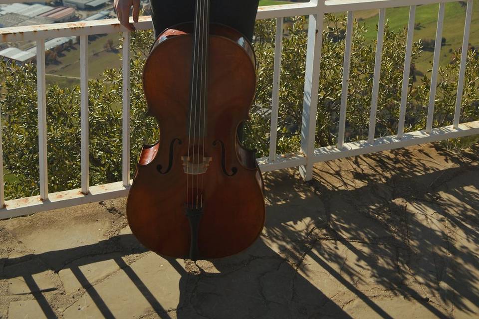 Cello