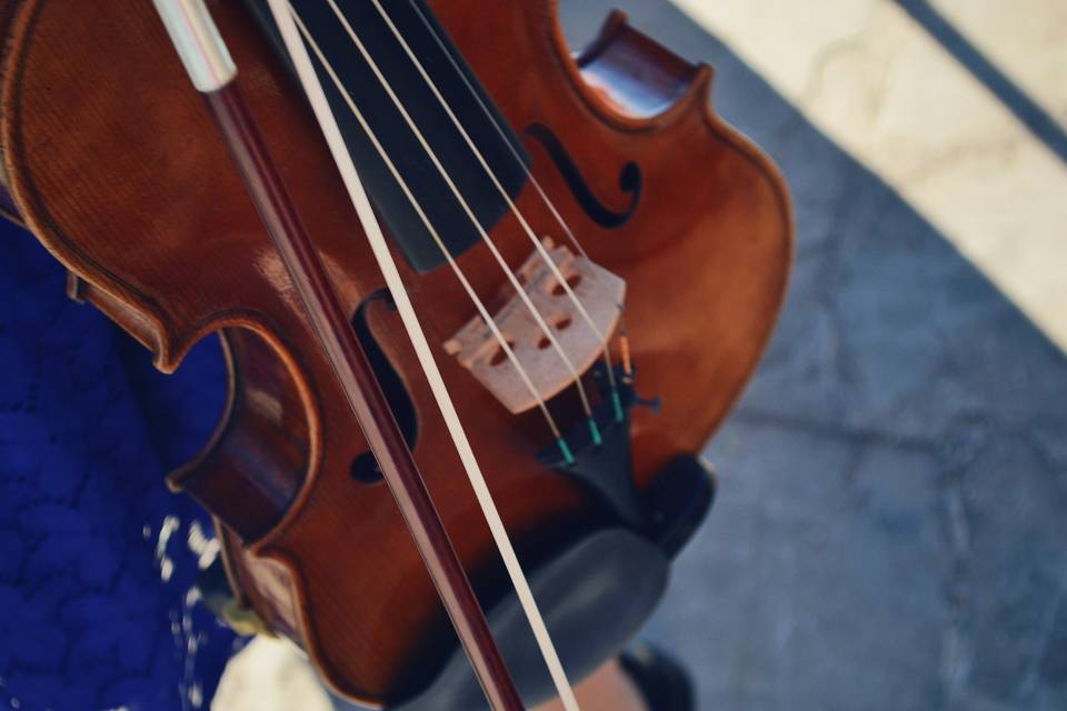 Cello