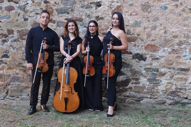 Concierto Castillo Villafranca