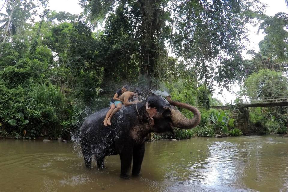 Sri Lanka