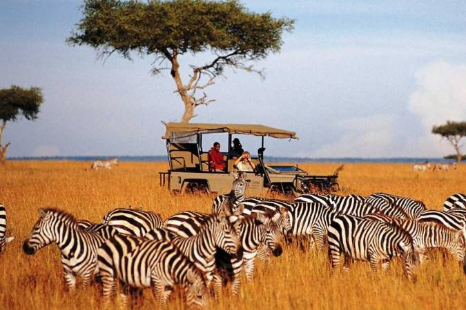 Safari en Kenia