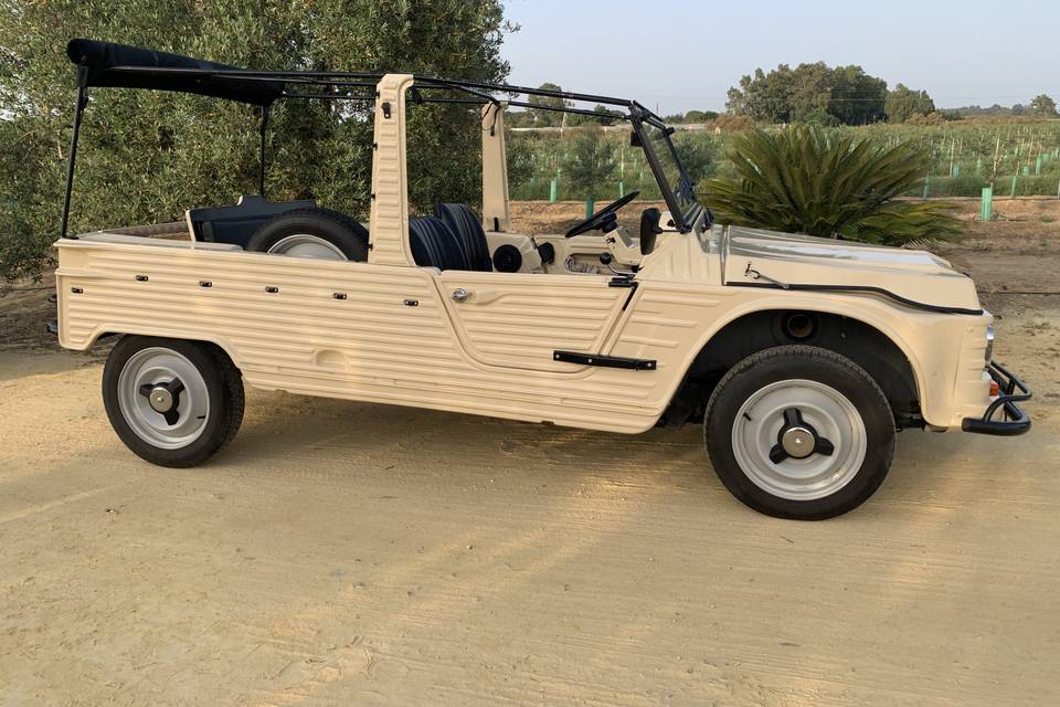 Mehari