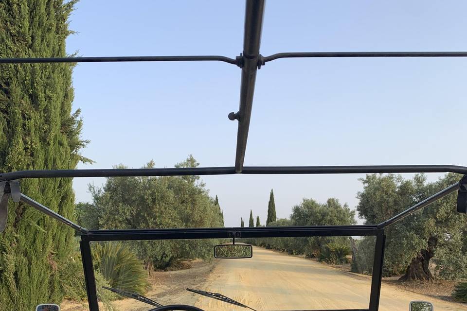 Mehari