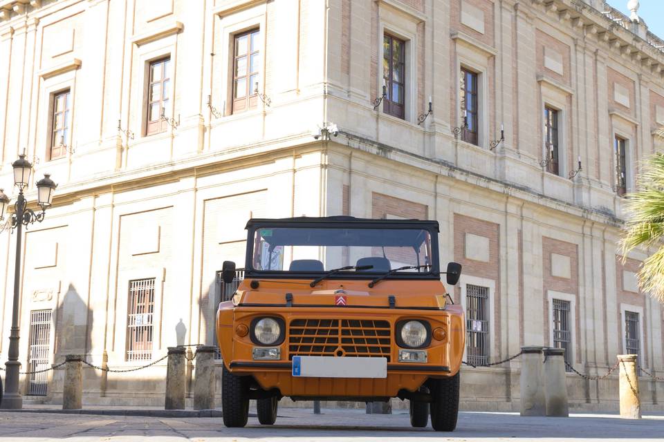 Citroën méhari: puerta jerez