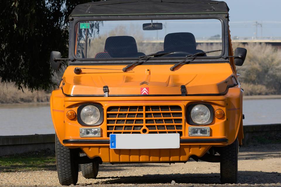 Citroën mehari: frontal