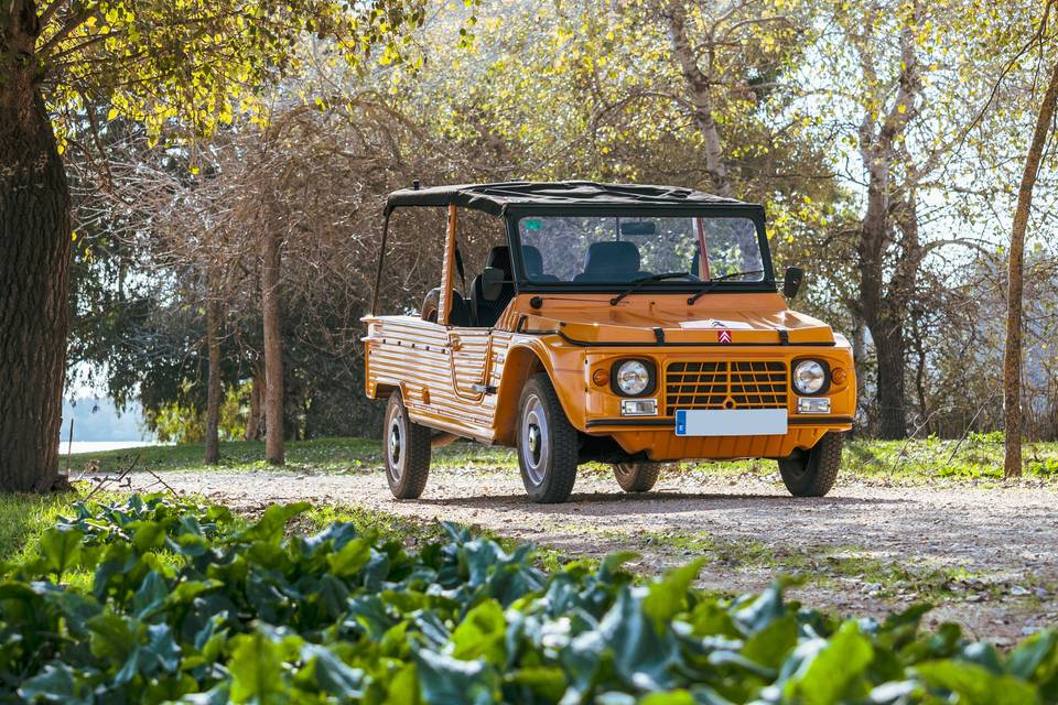 Citroën méhari: entorno rural