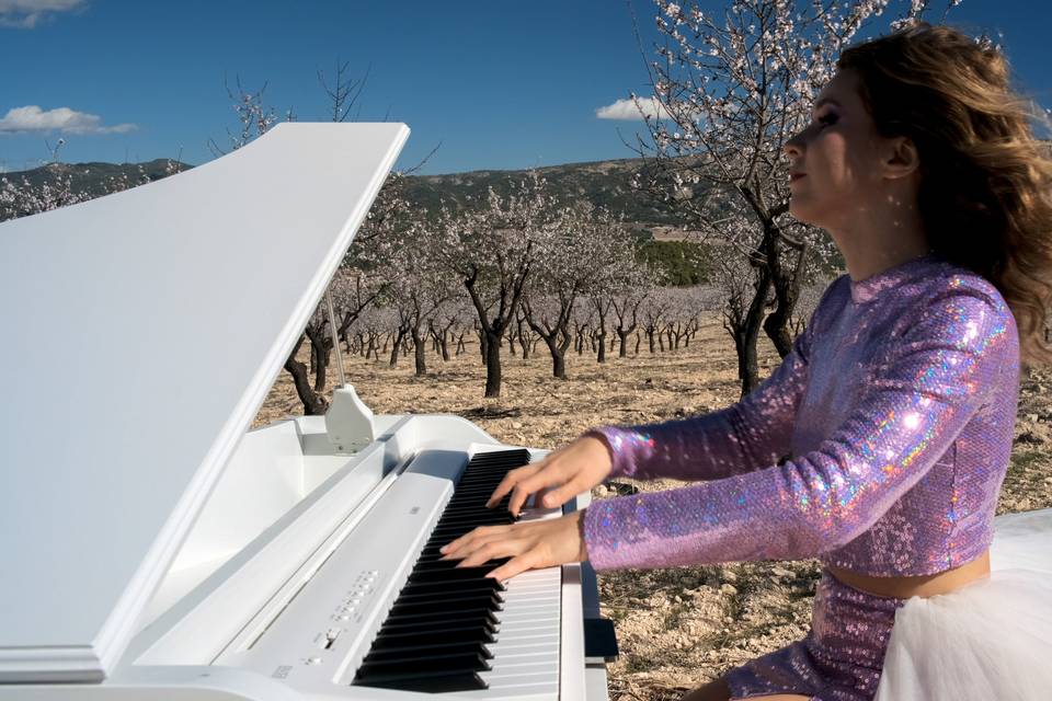 Piano de cola en Almendras