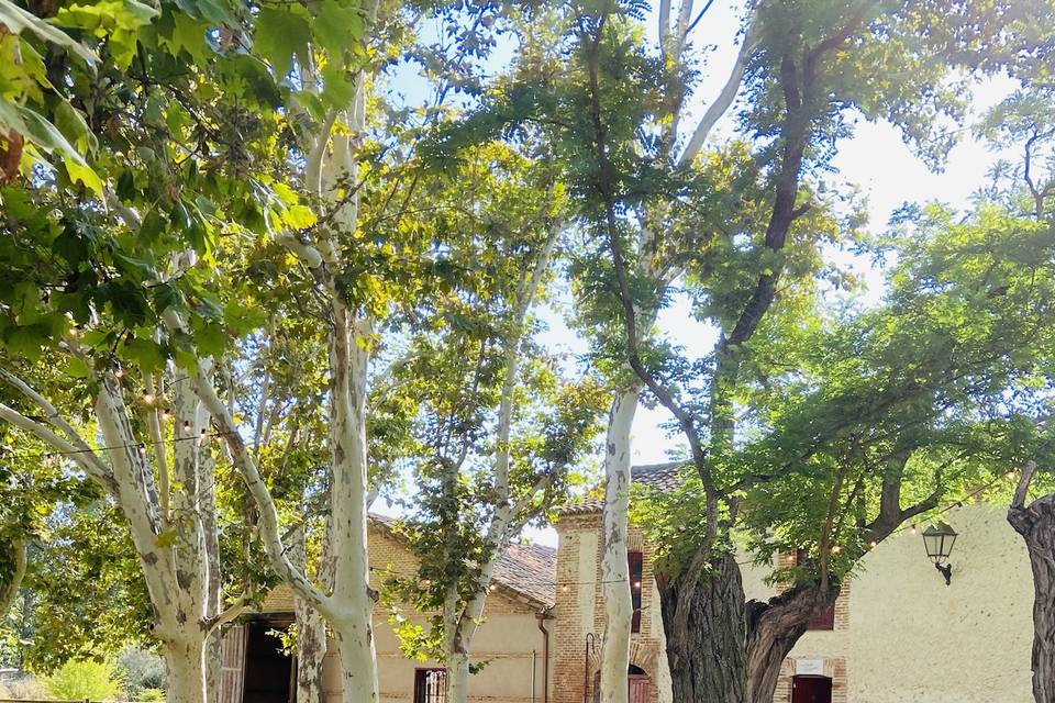 Boda en el campo