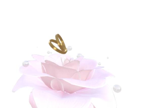 Hermosa rosa